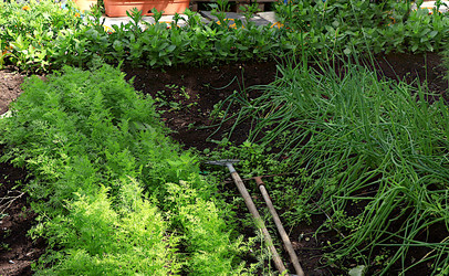 Similar image 21866262