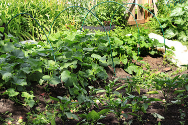 Similar image 21866263