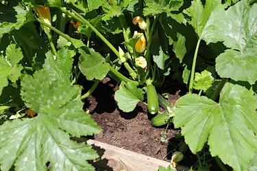 Similar image 21866264