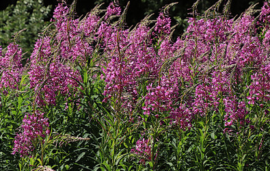 Similar image 21866265