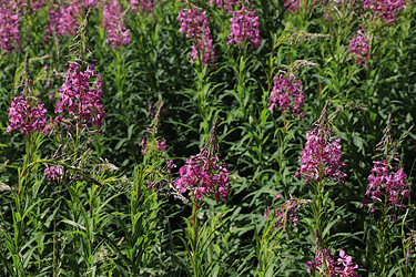 Similar image 21866266