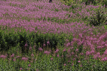 Similar image 21866267