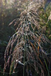 Similar image 21865696