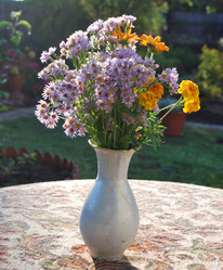 Similar image 21865698