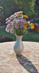 Similar image 21865699