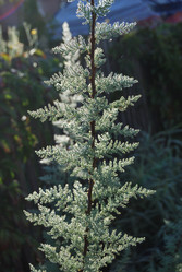 Similar image 21865700