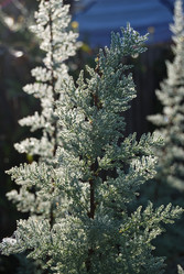 Similar image 21865701