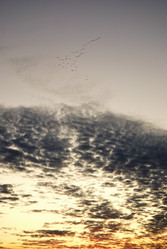 Similar image 21865719