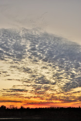 Similar image 21865720