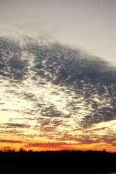 Similar image 21865721