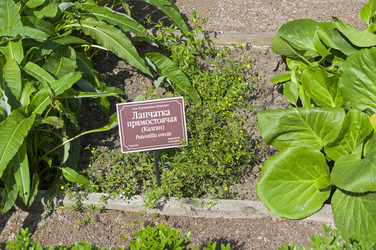 Similar image 21865727