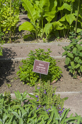 Similar image 21865728