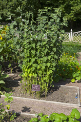 Similar image 21865729