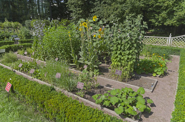 Similar image 21865730