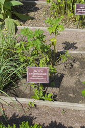 Similar image 21865731