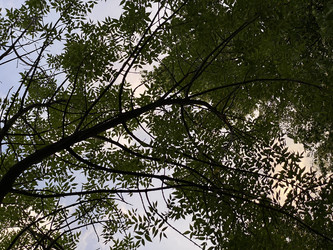 Similar image 21868374