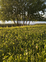 Similar image 21868375