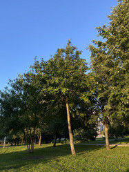 Similar image 21868377