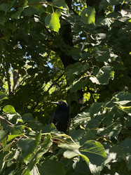 Similar image 21868379