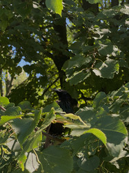 Similar image 21868380