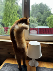 Similar image 21865732