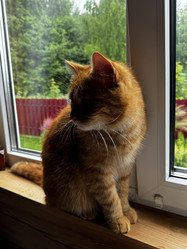 Similar image 21865733