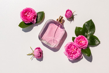 Similar image 21865763