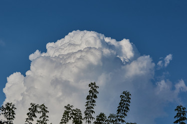 Similar image 21865768