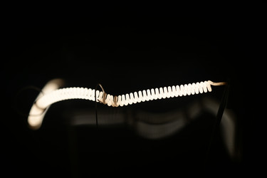 Similar image 21865772