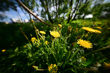 Similar image 21865773