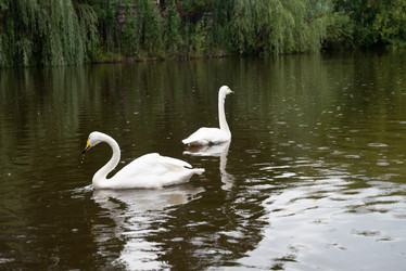 Similar image 21867422