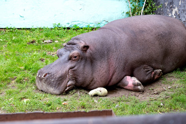 Similar image 21867423