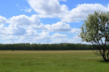 Similar image 21867424