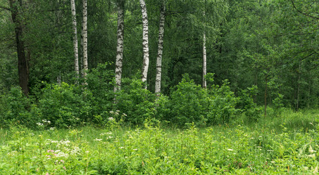 Similar image 21865897