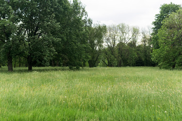 Similar image 21865901