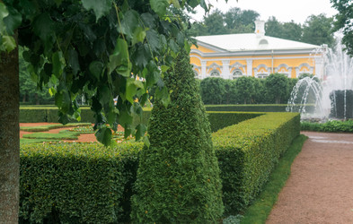 Similar image 21865906