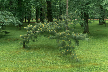 Similar image 21865907