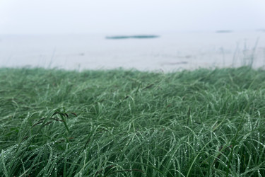 Similar image 21865912