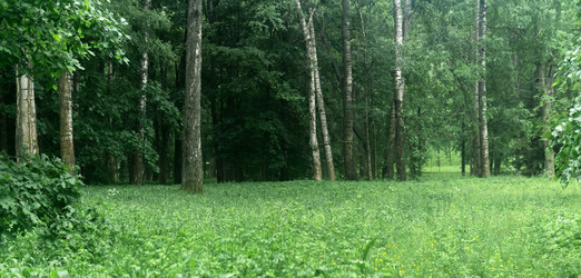 Similar image 21865913