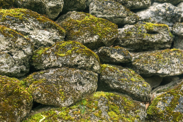 Similar image 21865916