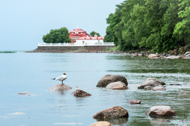 Similar image 21865920