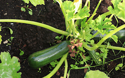 Similar image 21866280