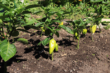 Similar image 21866281