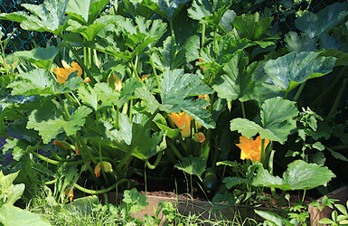 Similar image 21866282