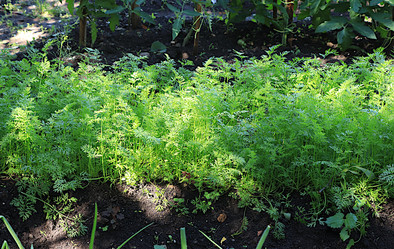 Similar image 21866283