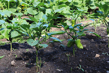 Similar image 21866284