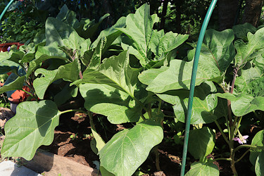 Similar image 21866287