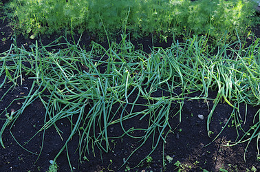 Similar image 21866288