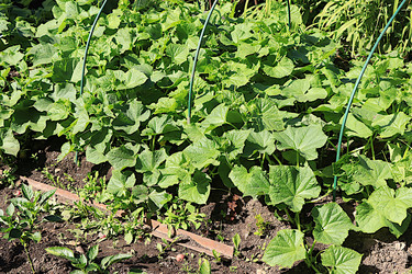 Similar image 21866291