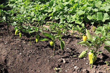 Similar image 21866292